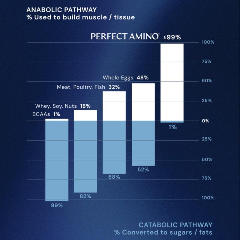 Amino Theory — Perfect 8 Essential Amino Acids
